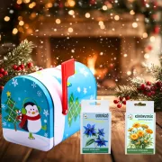   Karácsonyi kék fém  díszdoboz 2 db. viráglabdával+ kertészkesztyűvel -karácsonyi ajándékötlet 
