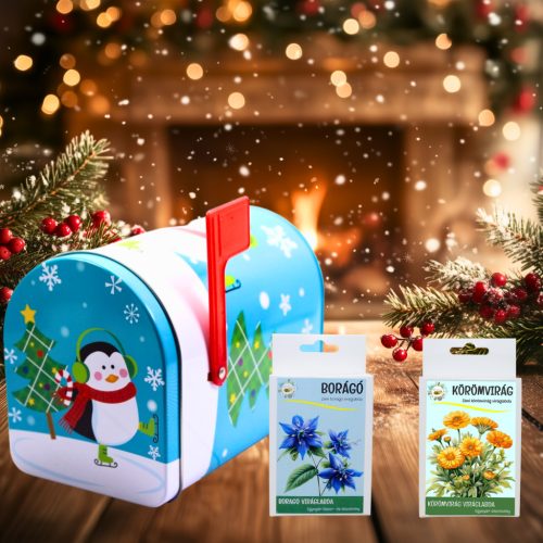 Karácsonyi kék fém  díszdoboz 2 db. viráglabdával+ kertészkesztyűvel -karácsonyi ajándékötlet 