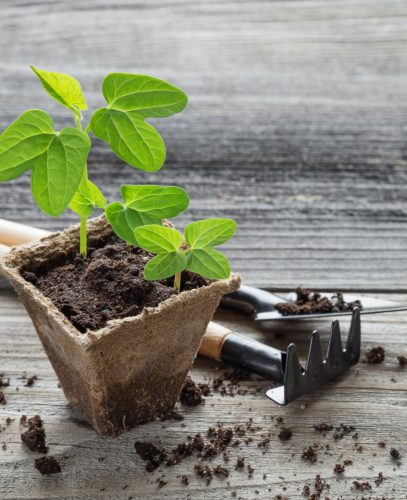 30 db.-os ültető tálca szett palántázáshoz