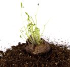 Lánybúcsú feliratos ajándék doboz -Hamarosan férjhez megyek felirattal. Ajándék ötlet lánybúcsúra!