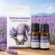 100% tiszta francia levendula illóolaj 2x10 ml - prémium minőségű nyugtató olaj - Zümishop