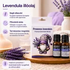 100% Tiszta Francia Levendula Illóolaj (2*10 ml)