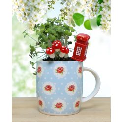 Zamatos mikrozöld tündérkert