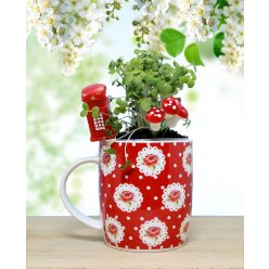 Zamatos mikrozöld tündérkert