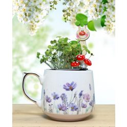 Zamatos mikrozöld tündérkert