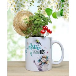   Zamatos mikrozöld tündérkert-ajándékötlet kertbarátoknak!