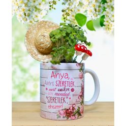   Zamatos mikrozöld tündérkert (Ajándékötlet Édesanyáknak)