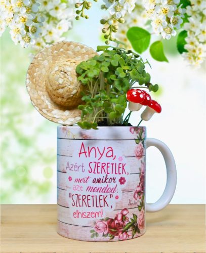 Zamatos mikrozöld tündérkert (Ajándékötlet Édesanyáknak)