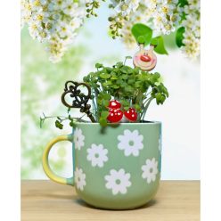 Zamatos mikrozöld tündérkert-mikrozöld ültetőkészlet