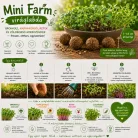 Mini farm  viráglabda -mikrozöldségek kis helyen