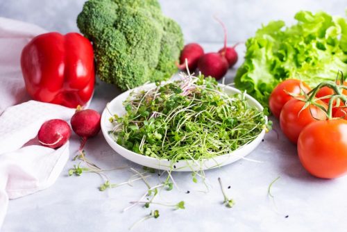 Mini farm viráglabda -mikrozöldségek kis helyen