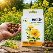 Mustár vetőmag viráglabda – méhbarát sárga virágok termesztése kertben egyszerűen