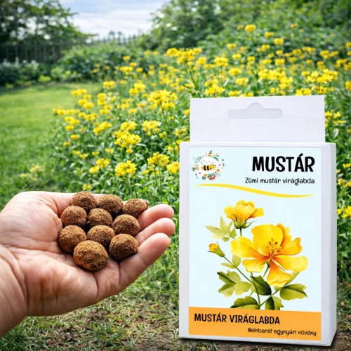 Mustár vetőmag viráglabda – méhbarát sárga virágok termesztése kertben egyszerűen
