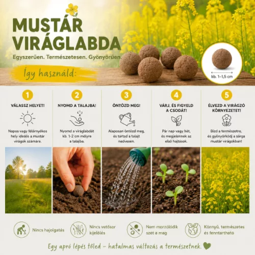  6 db Mustár viráglabda (Méhbarát és talajjavító növény)