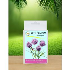 Metélőhagyma viráglabda 6 db