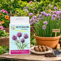 Metélőhagyma vetőmag viráglabda – friss fűszernövény termesztése balkonkertben, cserépben