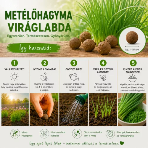 Metélőhagyma viráglabda 6 db