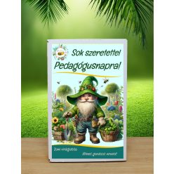 Pedagógus napra  feliratú  választható viráglabda 12 db