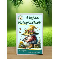   Legjobb osztályfőnök feliratú vadvirágos viráglabda 6 db