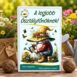 Ajándék osztályfőnöknek pedagógusnapra – „A legjobb osztályfőnöknek” viráglabda ajándékdoboz 6 db viráglabdával