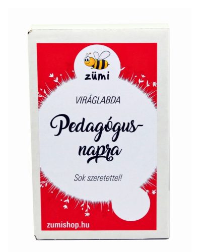 Pedagógus napra sok szeretettel feliratú viráglabda 12 pillangóbarát  viráglabdával