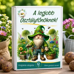 Legjobb osztályfőnök feliratú  viráglabda 12 db