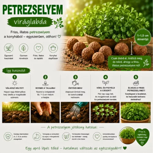 6 db.-os petrezselyem viráglabda -petrezselyem vetőmaggal