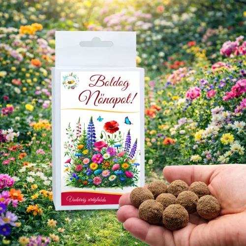 Nőnapi praktikus ajándék - 6 db-os vadvirágos viráglabda válogatás díszdobozban - Zümishop
