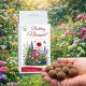 Nőnapi praktikus ajándék - 6 db-os vadvirágos viráglabda válogatás díszdobozban - Zümishop