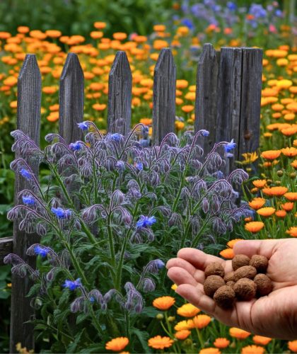 I love you feliratos ajándékdoboz 12 db választható Viráglabdával.