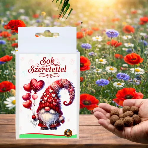 Virágzó ajándék – „Sok szeretettel” Doboz 6 db. Viráglabdával