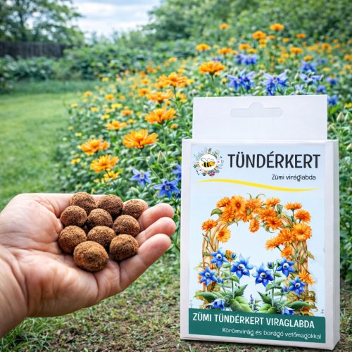 Tündérkert vetőmag viráglabda – körömvirág és borágó virágos kert egyszerűen