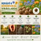 Tündérkert viráglabda (borágó és körömvirág viráglabda mix) 6 db