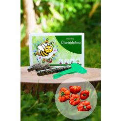 Paradicsom ültetődoboz -Marmande paradicsom vetőmag