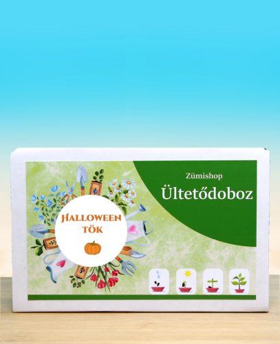 Halloween tök ültetődoboz (Howden Halloween tök vetőmag)