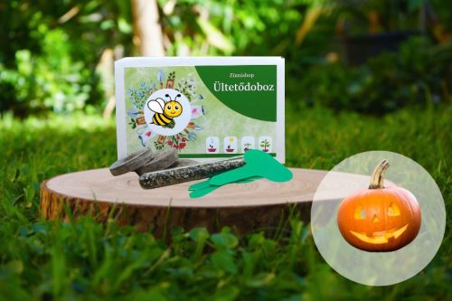 Halloween tök ültetődoboz (Howden Halloween tök vetőmag)