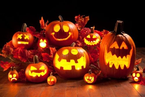 Halloween tök ültetődoboz (Howden Halloween tök vetőmag)