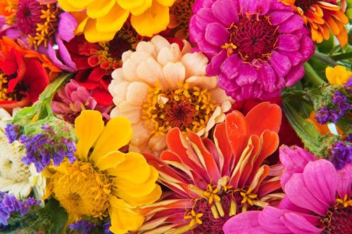 Balkonkert ültetődoboz (Egynyári virág vetőmagkeverékkel)