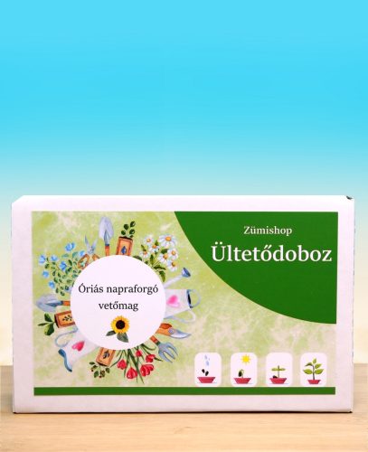 Óriás napraforgó ültetődoboz (2,5-3 méter magas óriás napraforgó vetőmag)
