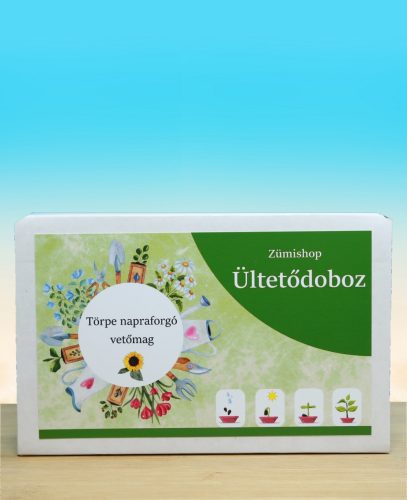 Törpe napraforgós ültetődoboz (balkonkertbe is ideális, törpe napraforgó vetőmag)