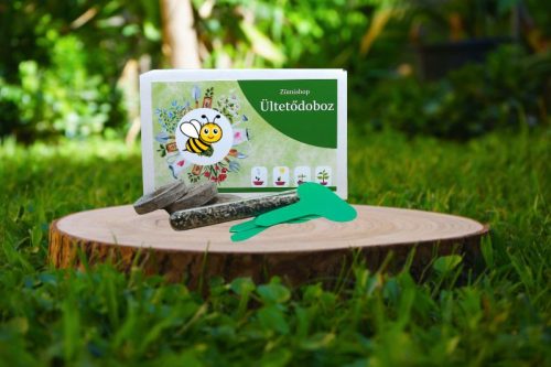 Szarvaskerep ültetődoboz szarvaskerep vetőmaggal ( Remek méhlegelő)