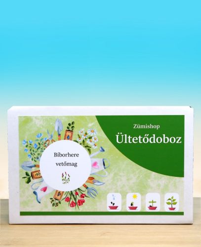 Bíborhere ültetődoboz (Egynyári méhlegelő vetőmag)