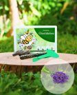 Levendula vetőmagos  ültetődoboz- 