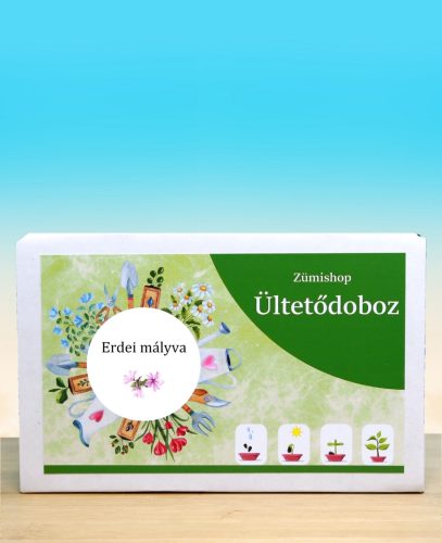 Erdei mályva ültetődoboz (évelő erdei mályva vetőmag)