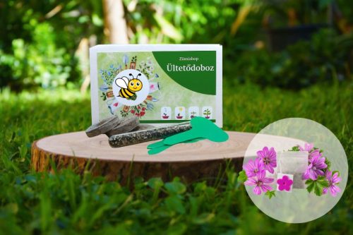 Erdei mályva ültetődoboz (évelő erdei mályva vetőmag)