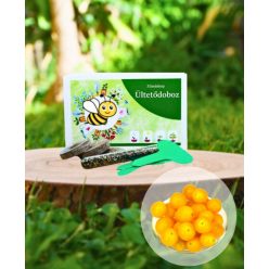   Sárga balkonparadicsom ültetődoboz- Balkon paradicsom vetőmag