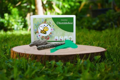 Mézontófű ültetődoboz (Méhlegelő egynyári virág vetőmag)