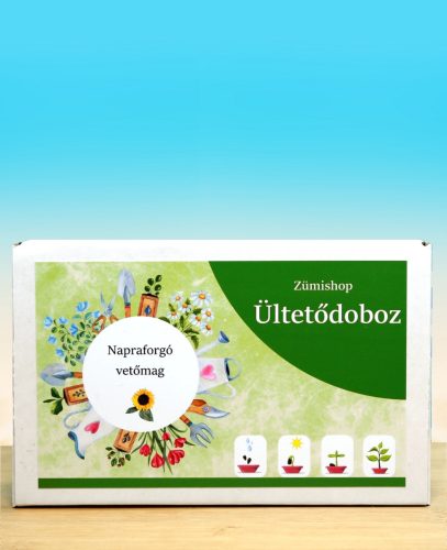 Napraforgó ültetődoboz (napraforgó vetőmaggal)