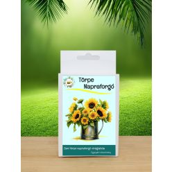    6 db Nyári napsütés viráglabda törpe napraforgó vetőmagokkal 