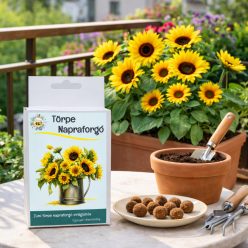 Törpe napraforgó viráglabda – balkonkerti ültetéshez, praktikus kerti eszközökkel